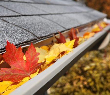 bigstock-Leaves-in-a-rain-gutter-16441973